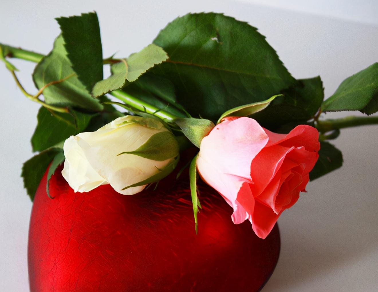 人到中年夫妻无话可说怎么办,人到中年夫妻关系淡漠怎么办