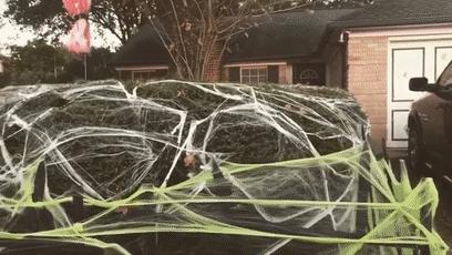 为过万圣节把房子改成鬼屋吓坏数千人，幸好我和这个老哥不是邻居