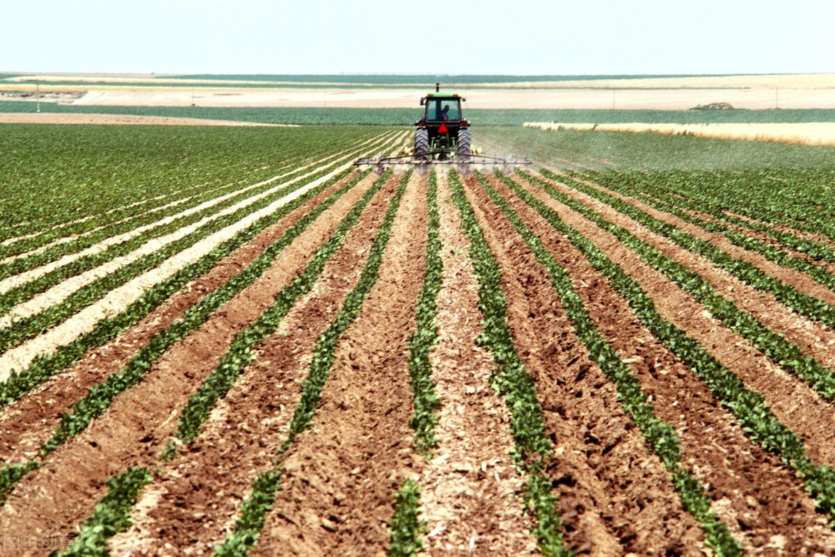 2024三门峡第二批重点项目,2021三门峡第四季度开工项目