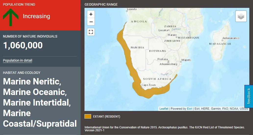 霍尊钟爱的海狗丸,真的能大补吗?
