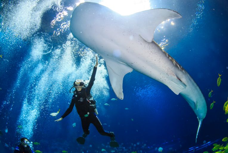 热卖爆款直降1000+，BAT大佬都在抢！双十一最好买的亲子产品是？