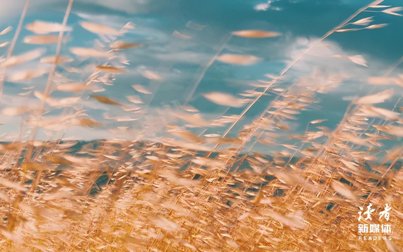 我在那个出租屋，住了9年