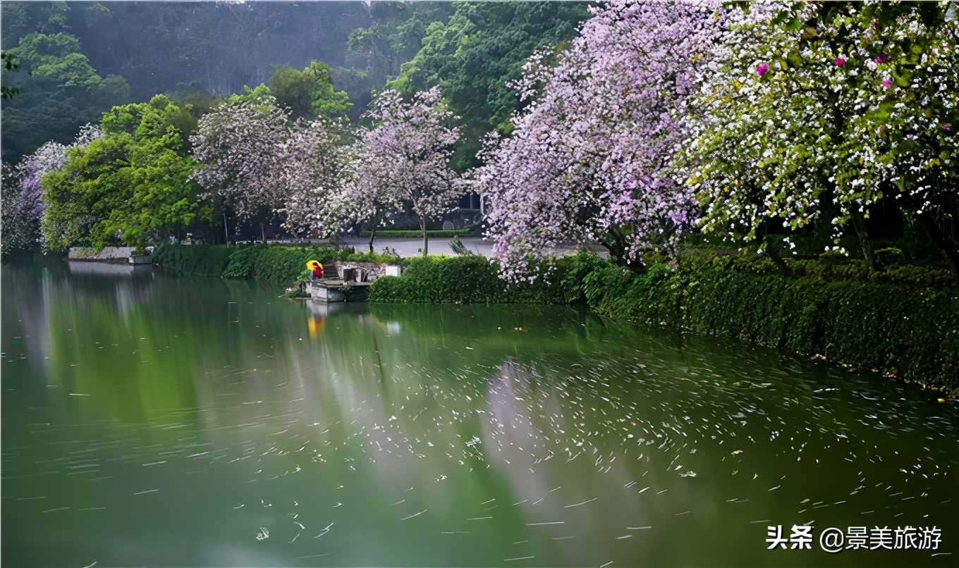 星湖不输西湖,肇庆星湖风景不输西湖