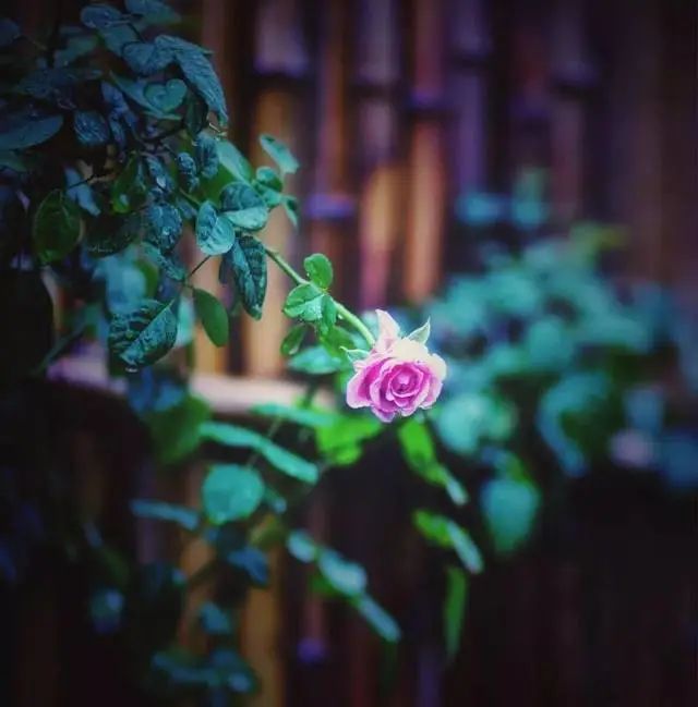 无本生意无人做,无本小生意赚钱点子