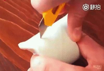 上班族怎么让猫白天活动夜晚休息,上班后怎么缓解猫的孤独