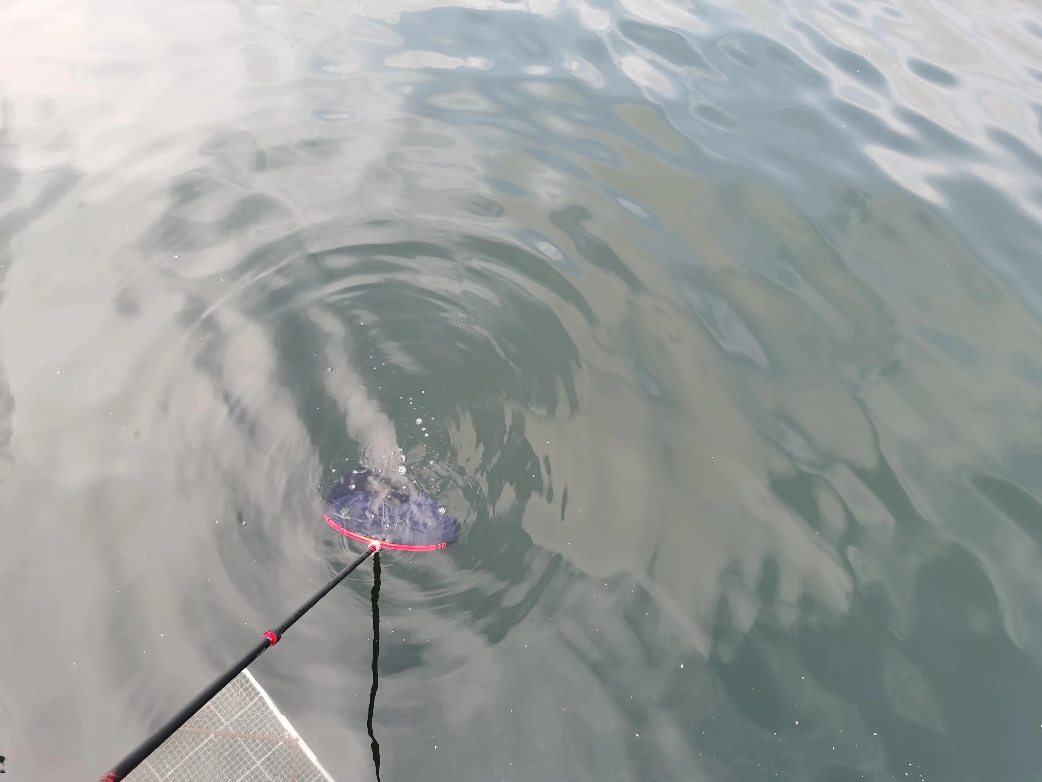 南澳海钓钓法大全,深圳大鹏南澳海钓视频
