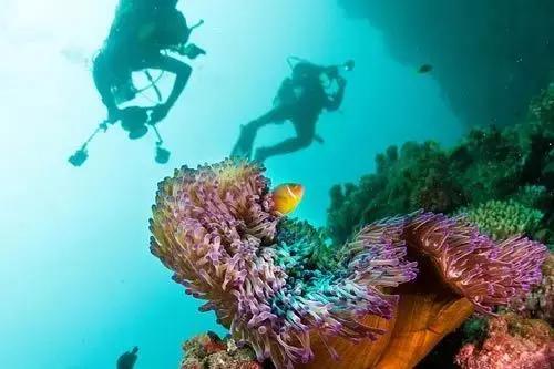 帕劳和斐济哪个好玩一点,帕劳vs斐济