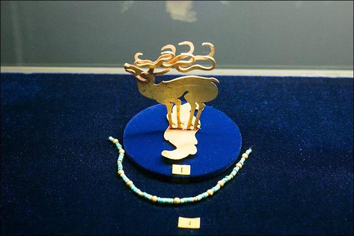 走马文化旅游度假区,走马文化旅游度假区在哪里