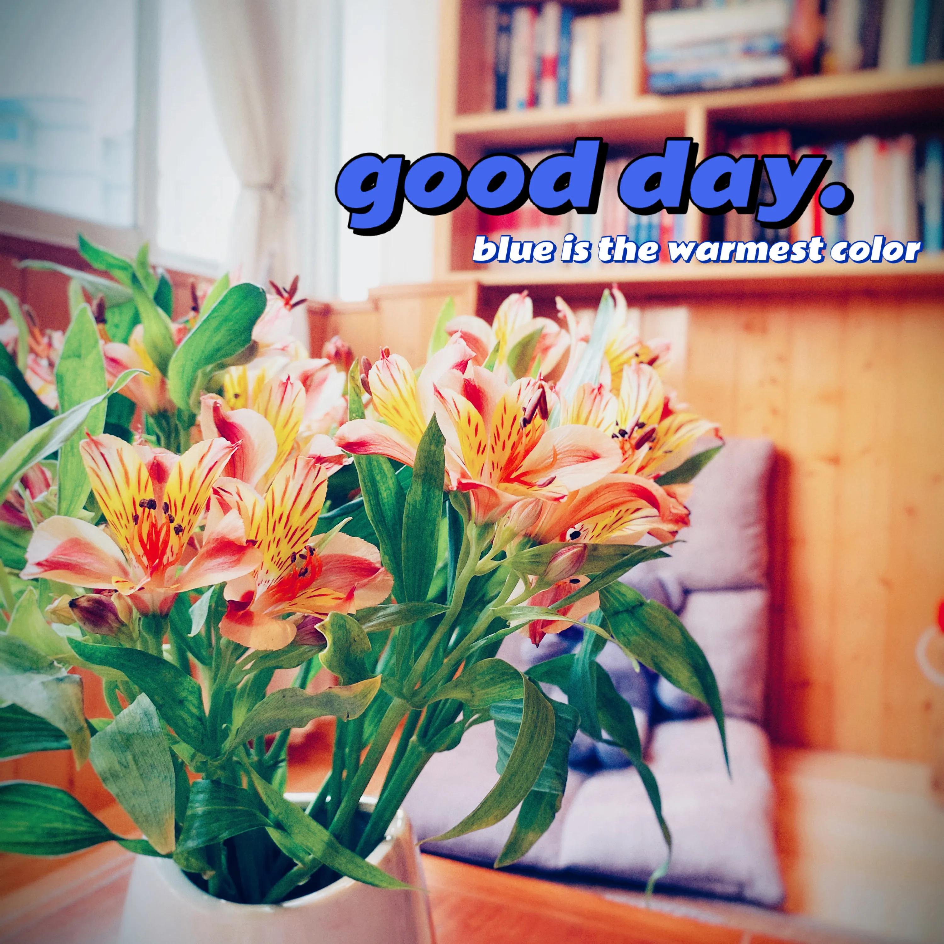 中年女人应该怎么创业,人到中年女人的创业之路