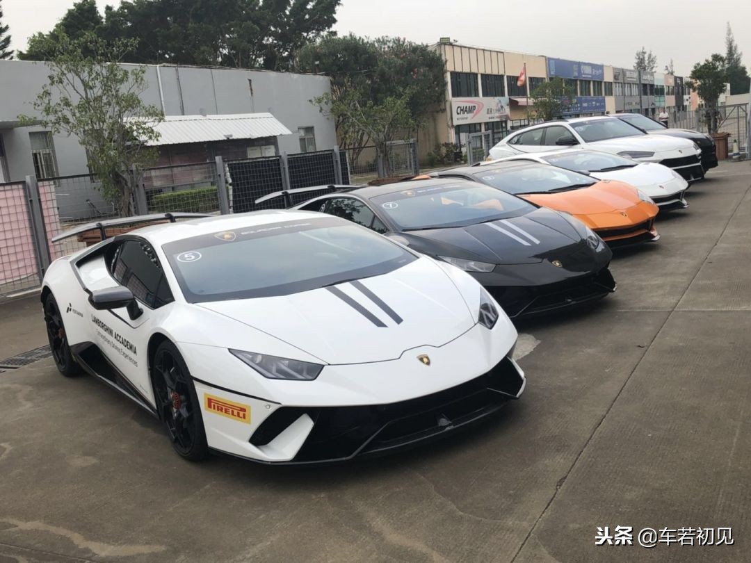 讲述放牛娃与蛮牛的完美邂逅，赛道试驾*博兰**基尼全系