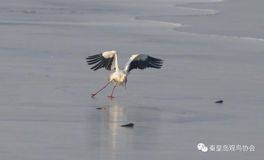 爱心让世界变得更美好作文,爱心让冬日暖意融融