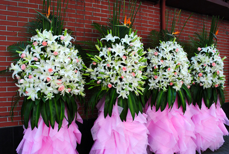 独辟蹊径才能走向成功,独辟蹊径2020