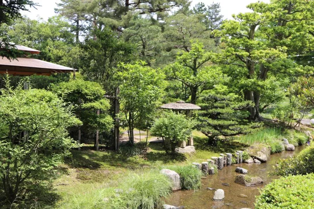 从名古屋到大阪新干线,去日本大阪东京名古屋