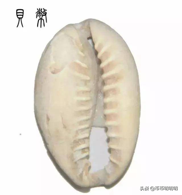 古钱币冷知识大全集,钱币艺术冷知识