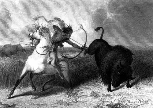 印第安人狩猎美洲野牛,美洲野牛印第安人