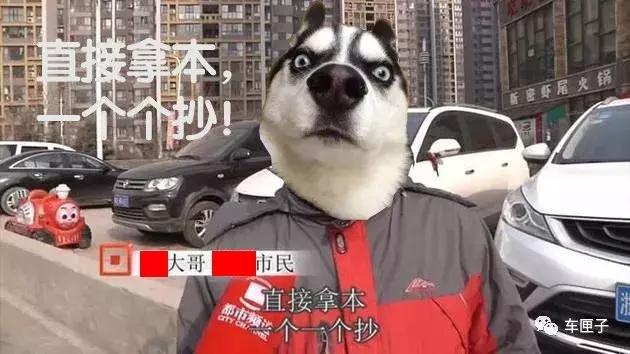 每个车主都要小心,抄号族无处不在!!!