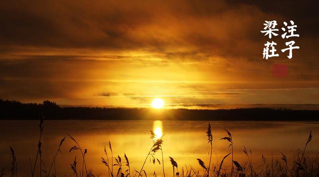 梁冬对话徐文兵肠道菌群,梁冬你的真正面目到底是什么
