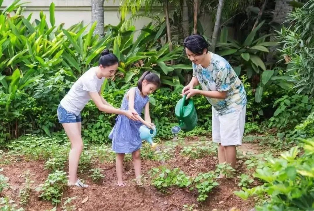 带娃国外海岛旅游推荐,适合带娃休闲度假的国内海岛