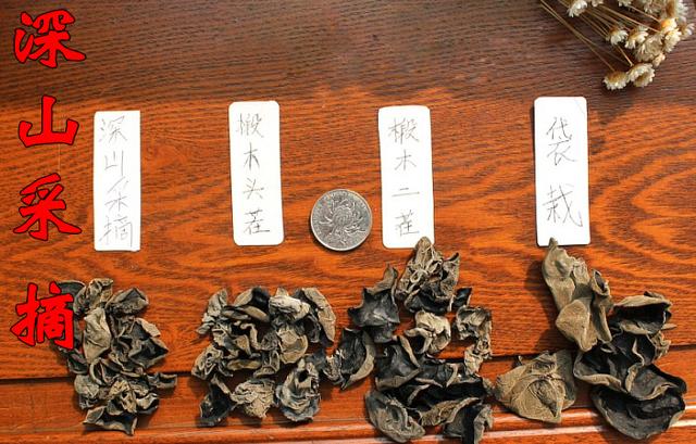 黑木耳和东北木耳哪个好点,黑木耳是云南的好还是东北的好