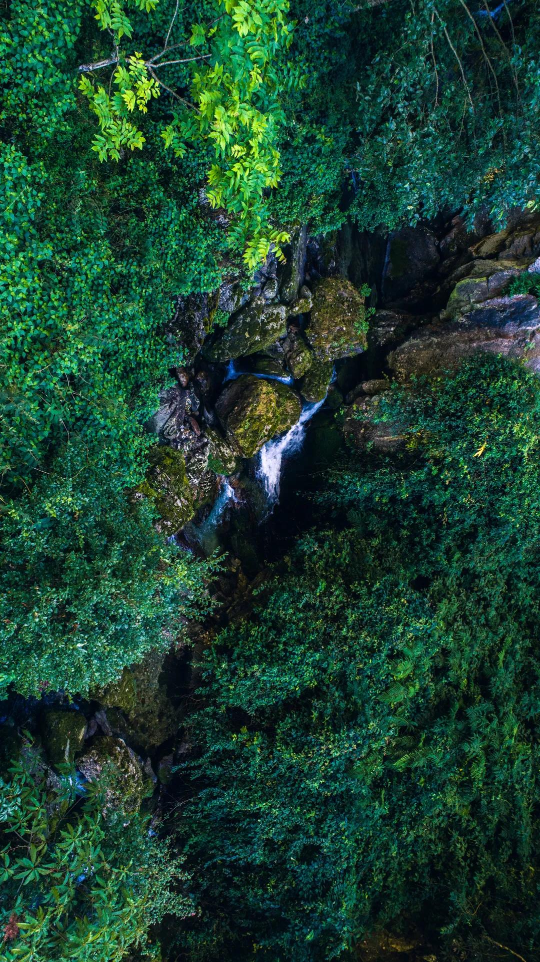腾冲地热火山门票,腾冲的地热资源
