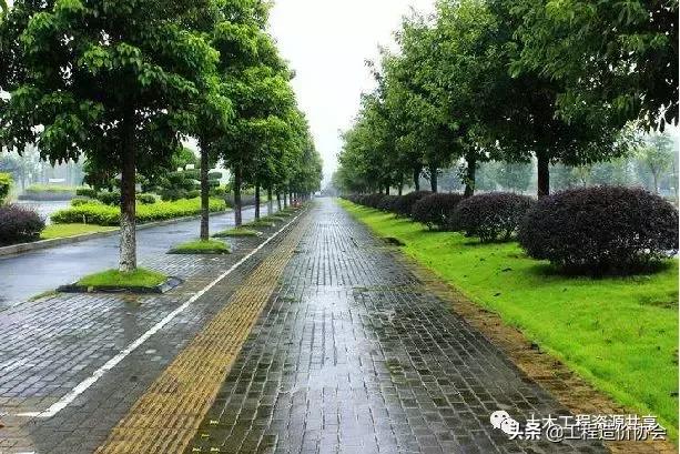市政道路给排水图纸入门识图讲解,市政道路工程排水管图纸怎样识图