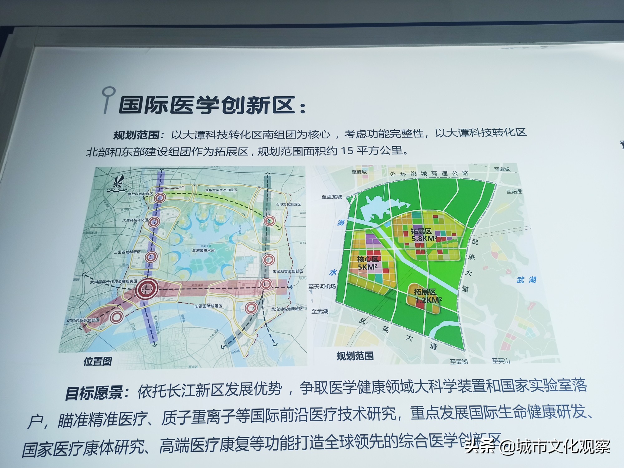 武汉长江新区最新项目,武汉市长江新区重大项目