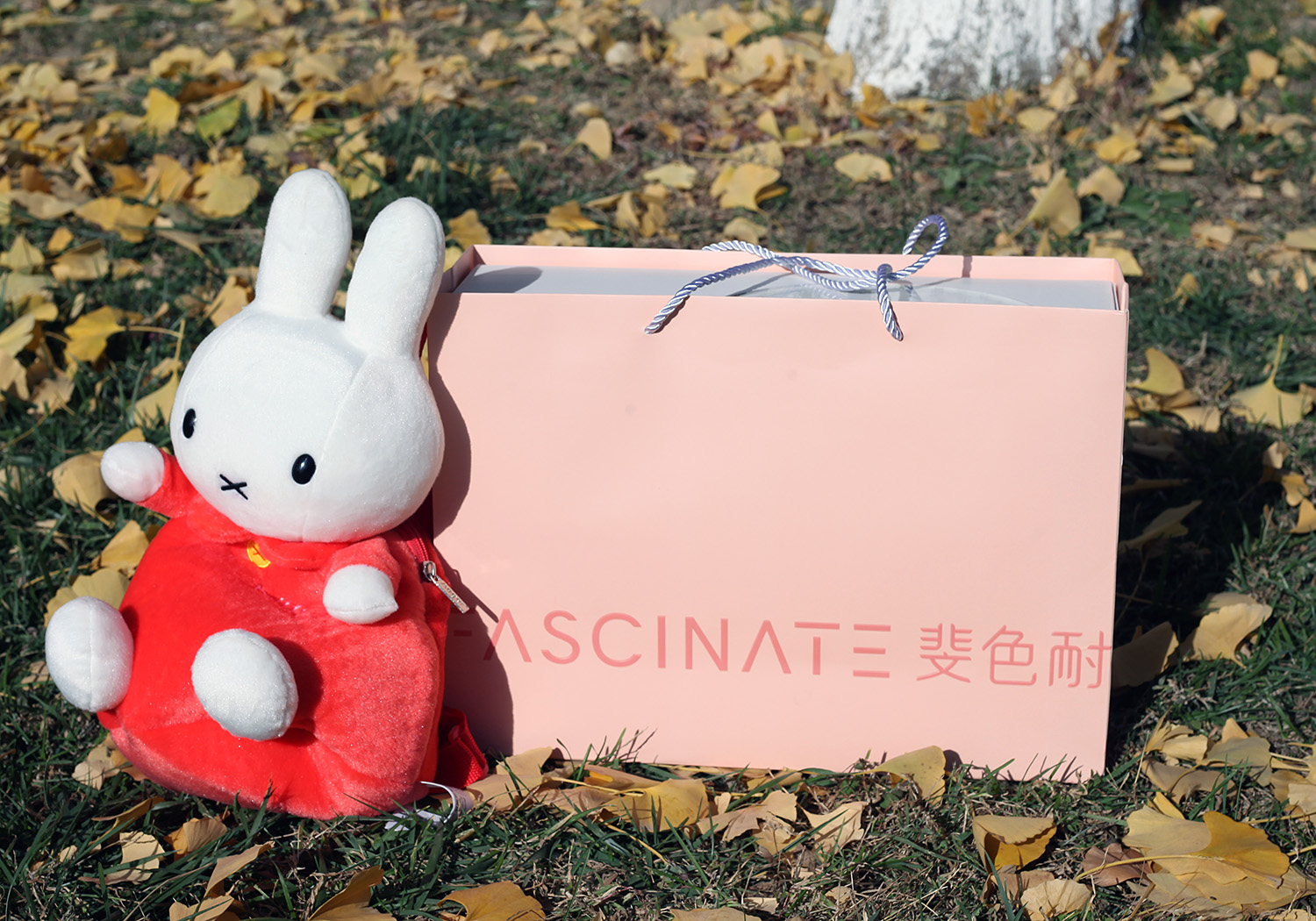 觅光化妆镜跟斐色耐哪个好,斐色耐折叠化妆镜测评