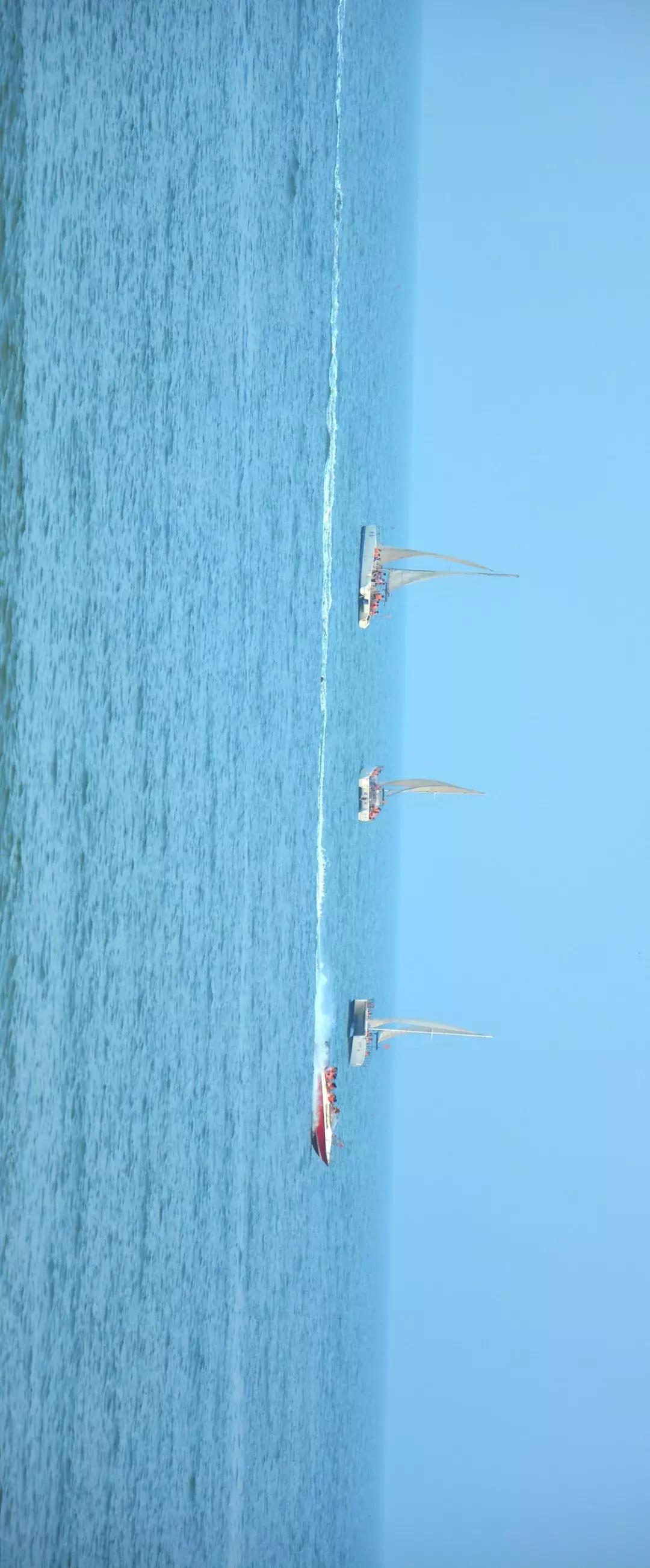 藏在日照的海边,竟然有一处世外桃源,赶海,捕鱼,温馨民宿……