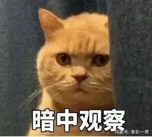 一哥专扒：RAY面膜被一哥扒的，可能连“*裤底**”都不剩！