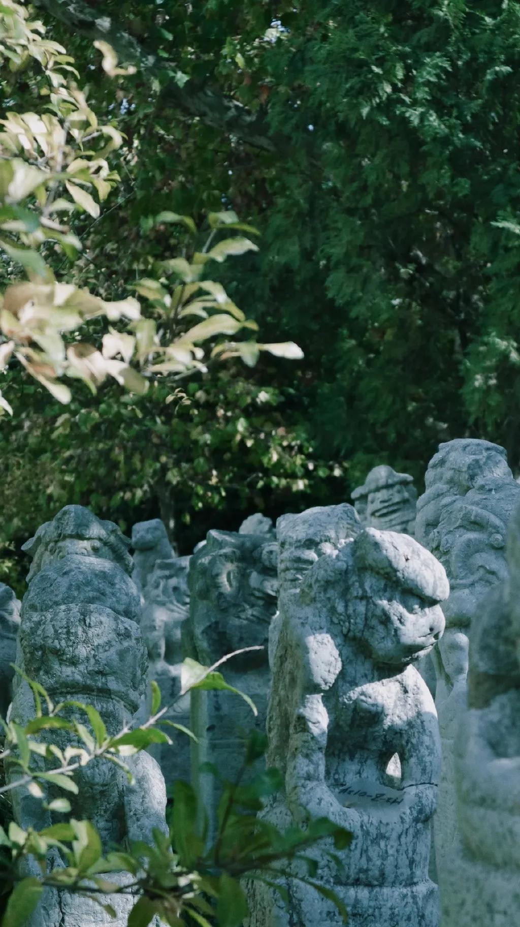 九大美院校园风景,中国九大美院校园风采