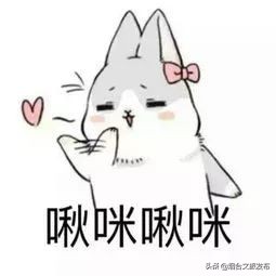 美食探店北京烤鸭,美食探店烟台