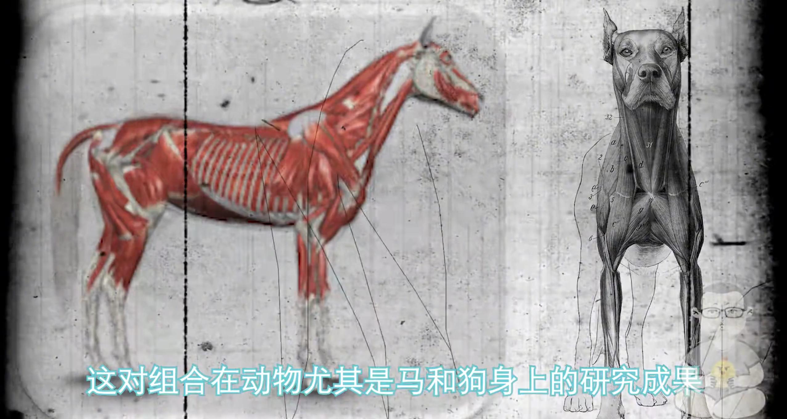 不可思议！25岁年轻医生用导尿管自插心脏完成史上首例心导管术