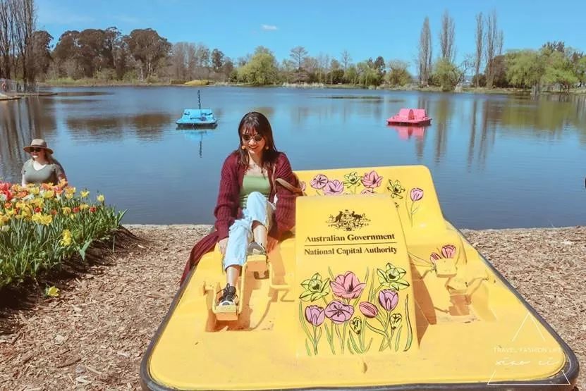 澳洲|春意堪培拉,看袋鼠、品酒、赏花、住进动物的家