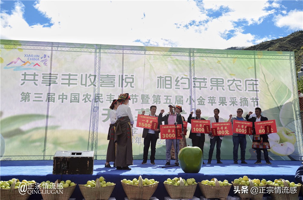 夜色成都串串爽，魅力小金苹果香#国庆中秋趣哪玩#