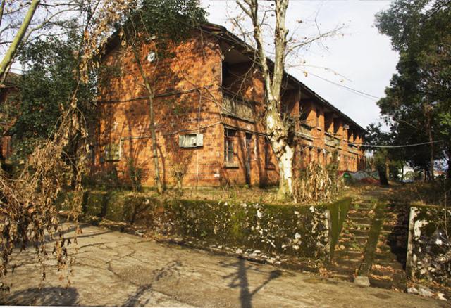 舒婷诗歌的人生感悟,舒婷诗歌深度解析