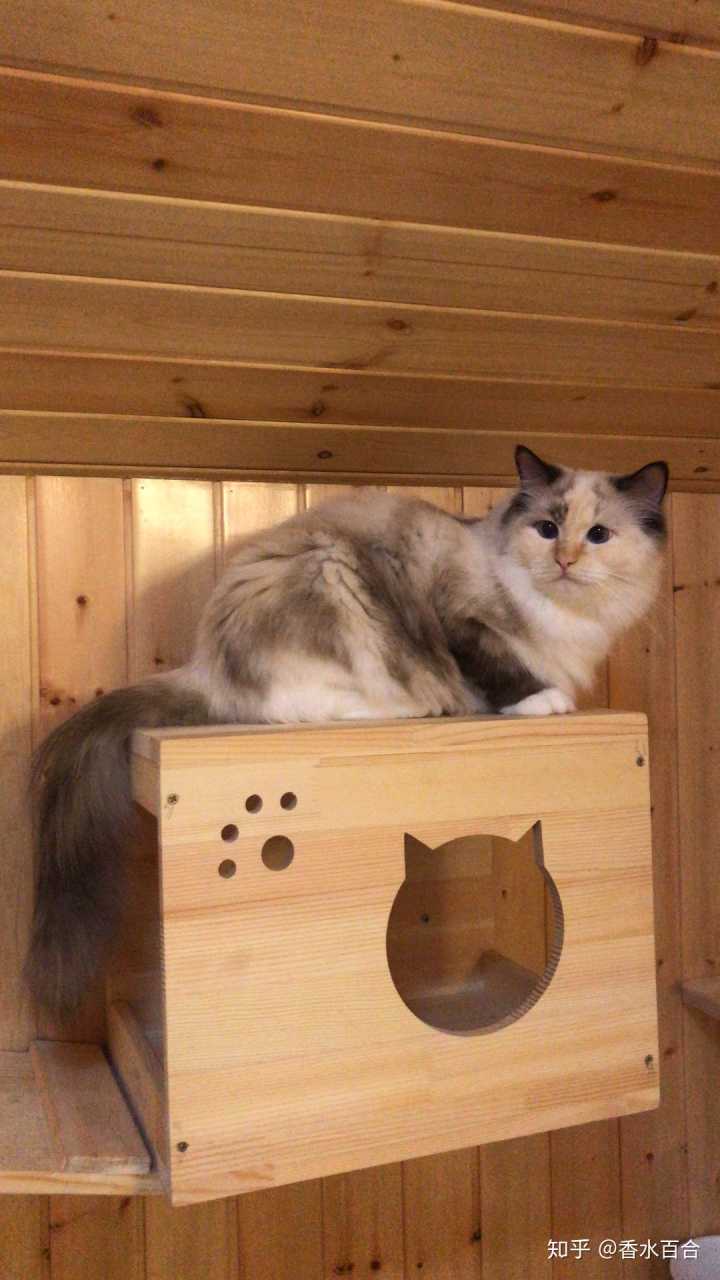 买了高层的人怎么样了,买了顶楼的房子后悔了吗