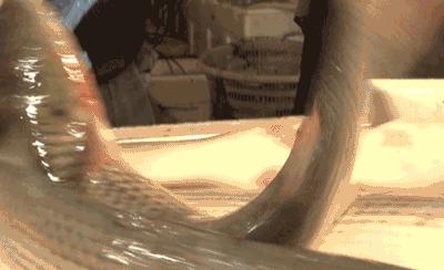 荣成最正宗的海鲜,荣成的小海鲜都有啥