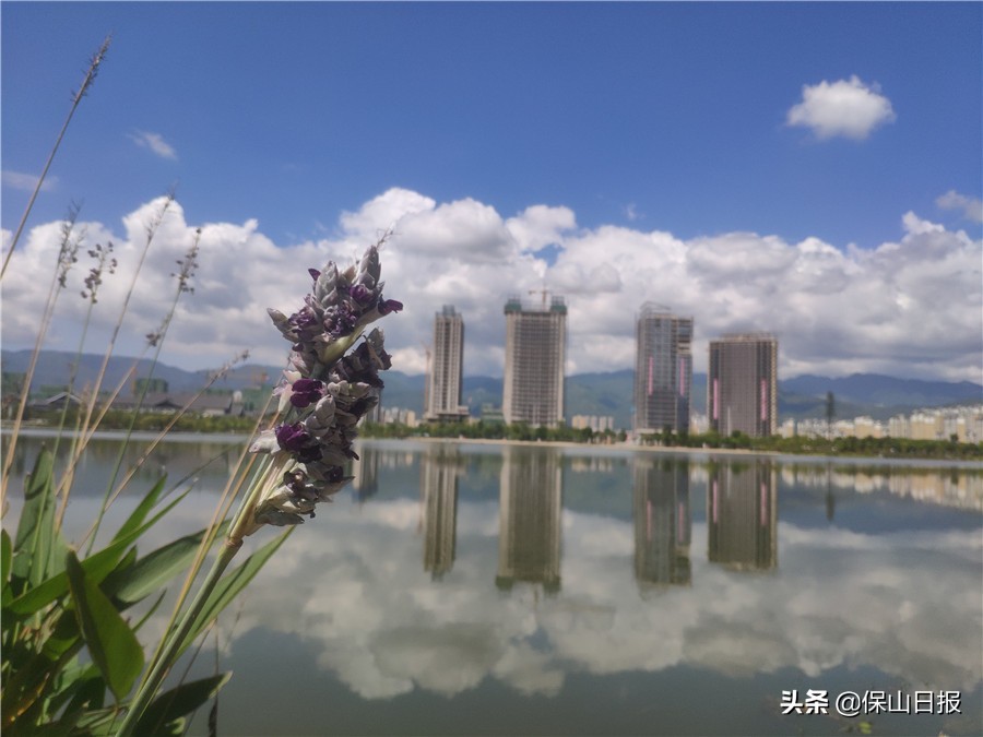 保山:绿水青山牵手“大健康”