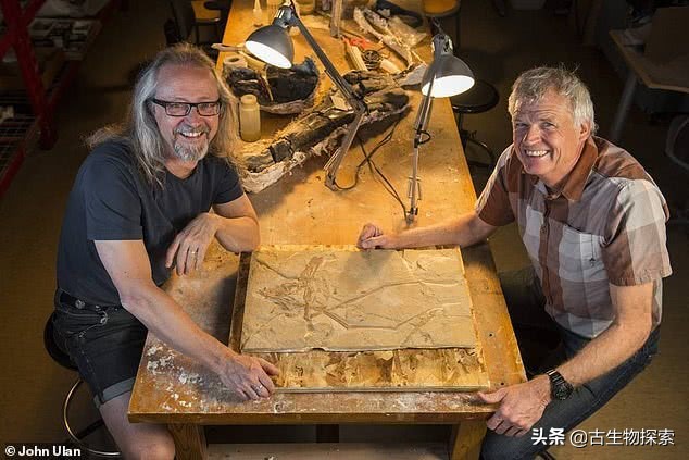 中国翼龙中东实战,中国翼龙直升飞机