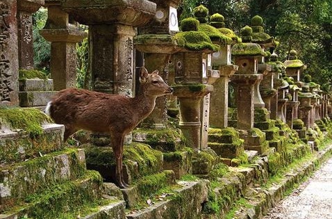 日语日本人中文谐音,日语汉字大全表