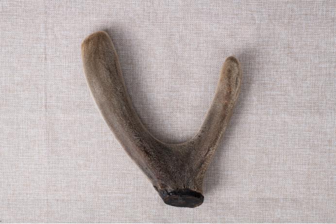 怎么选择鹿茸,行业人教你选购床垫