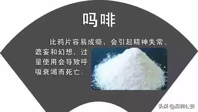 知识点常识大全,知识点大全及注意事项