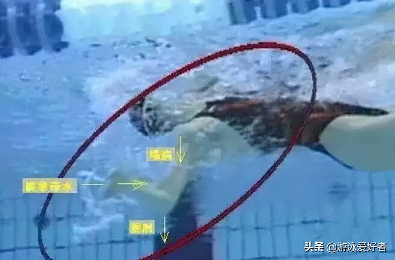 仰泳鼻子爱呛水,仰泳防呛水动作要领