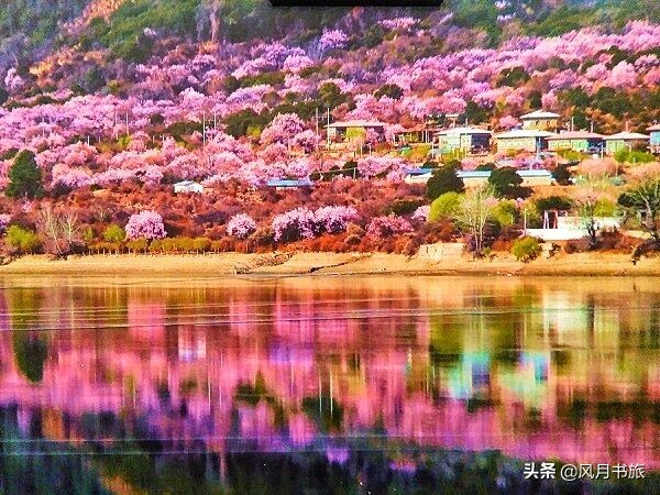 成都出发林芝旅游攻略图,金川梨花节自驾游五日线路图