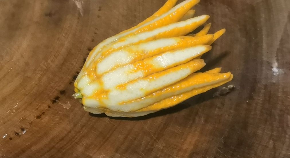 佛手柑怎么做最好吃视频教程,佛手柑怎么做香料