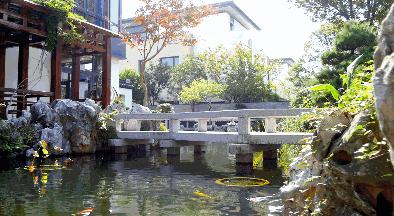 精品园林造景石有哪些特点,太湖石室内景观设计