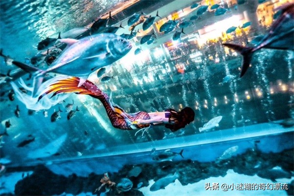 成都浩海立体海洋馆攻略,浩海立方成都海洋公园攻略