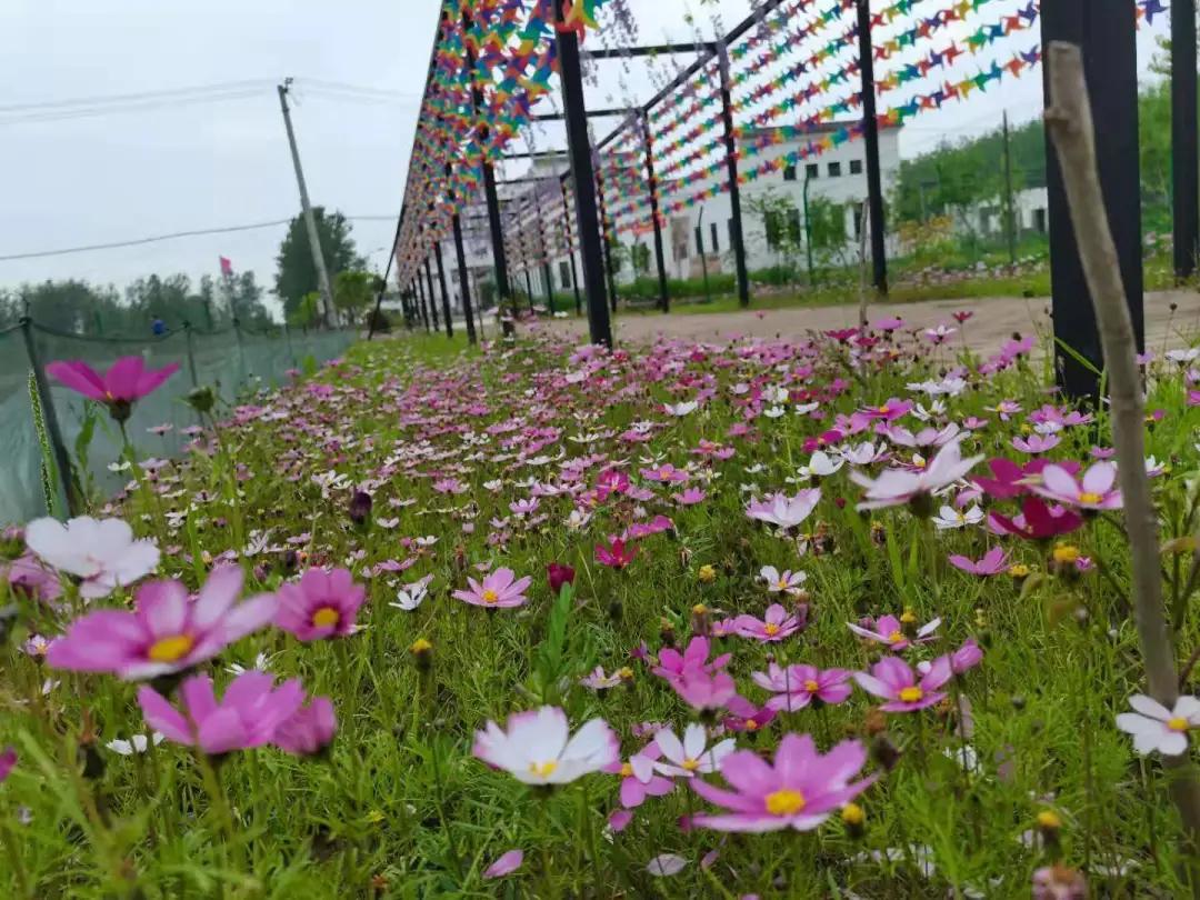 汉川5天周边游攻略,汉川徒步旅游攻略一日游
