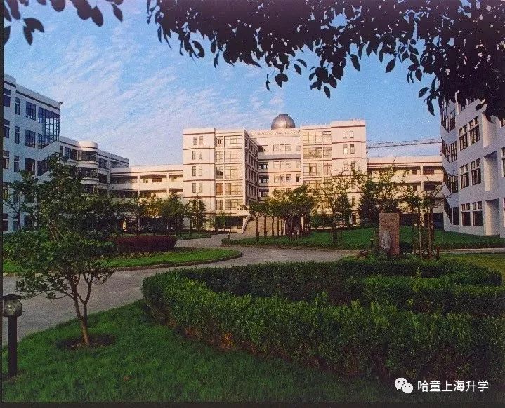 上海上外是哪几所学校,上外大学在全国排名多少