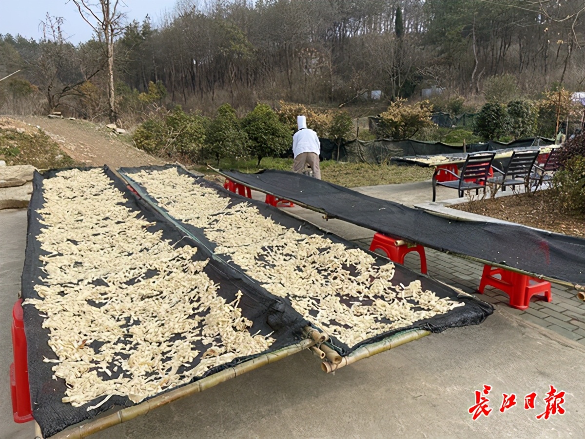 黄陂土特产直播间,黄陂豆丝干货直播卖货